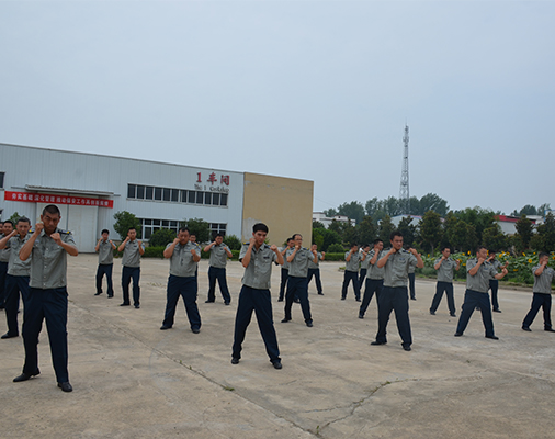 武装守押